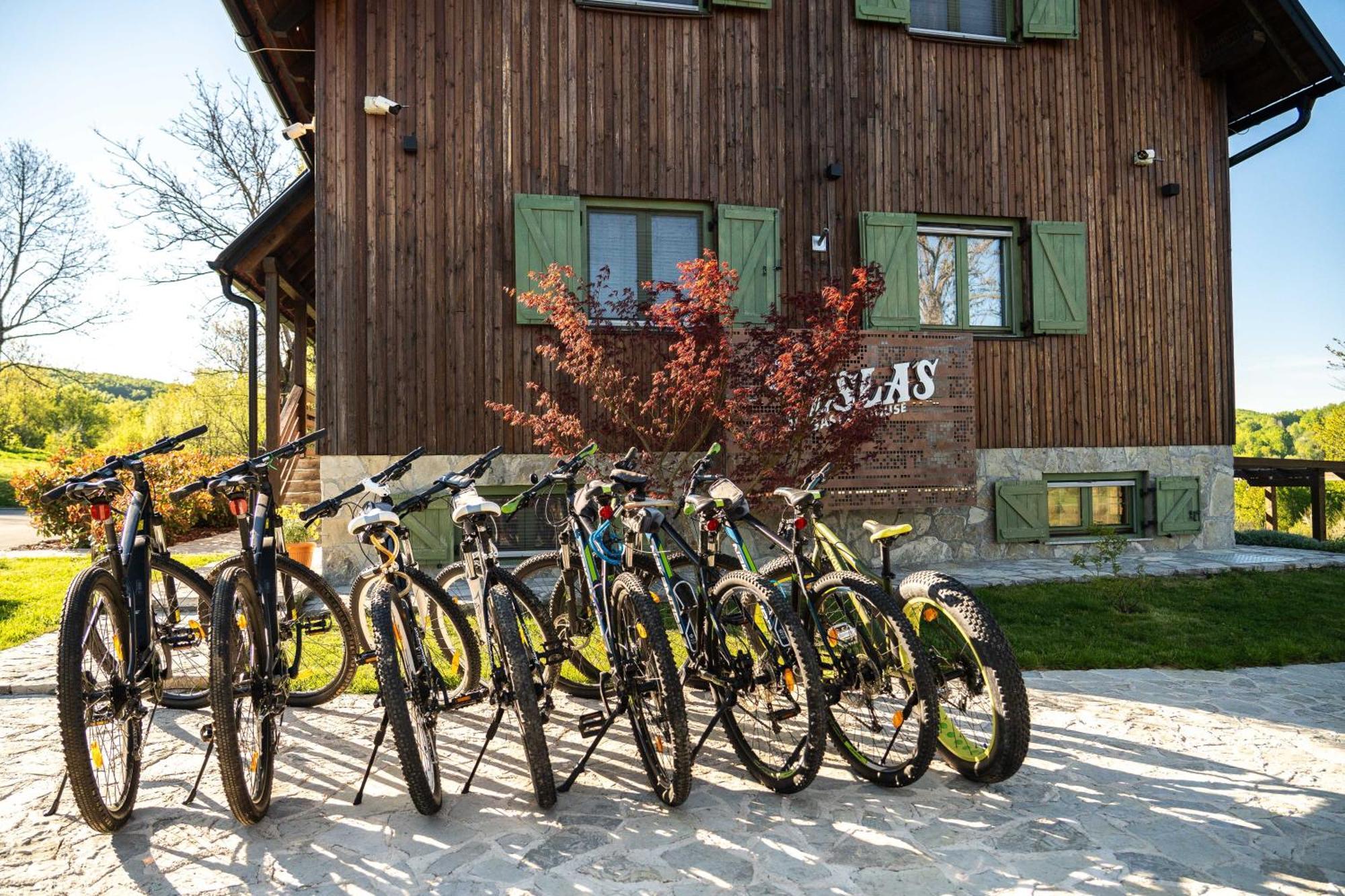 Отель Tesla'S Gastro House Plitvice Плитвицкие озёра Экстерьер фото